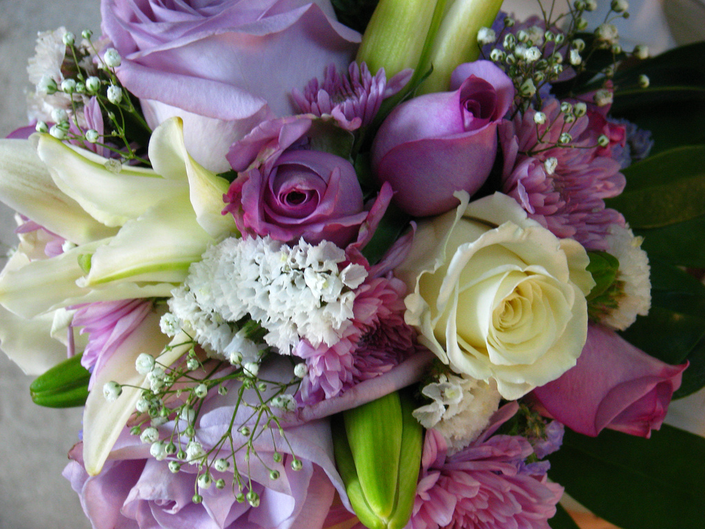 50 Beautiful Examples of Flowers Photography Best Photography, Art