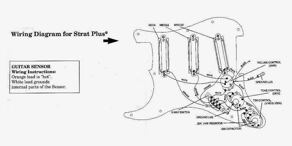 Diagram Fender Stratocaster Plus Wiring Diagram Full Version Hd Quality Wiring Diagram Diagramstore Esserevolontario It