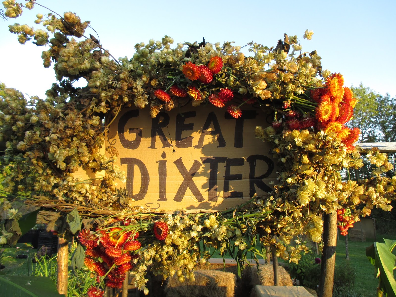 Garden Adventures For Thumbs Of All Colors Beyond Rhodies And