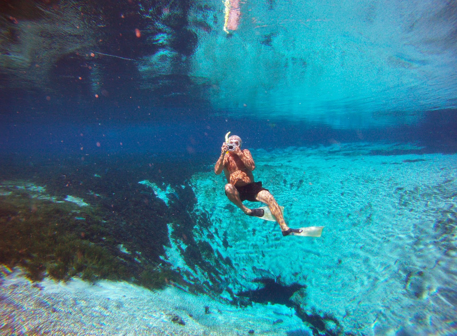 Zane BaloghPhotography & Blog Diving in Juniper Springs, Ocala