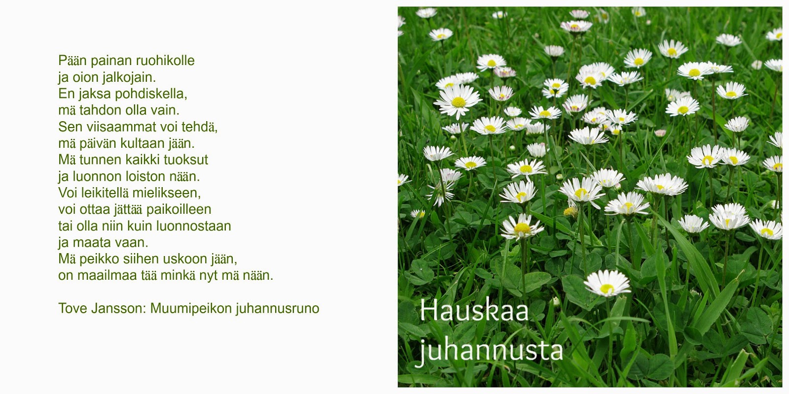 Get Dit Un Dat Sita Sun Tata Hauskaa Juhannusta Desktop Wallpaper Get Wallpaper Dit Un Dat Sita Sun Tata Hauskaa Juhannusta Desktop Wallpaper Free