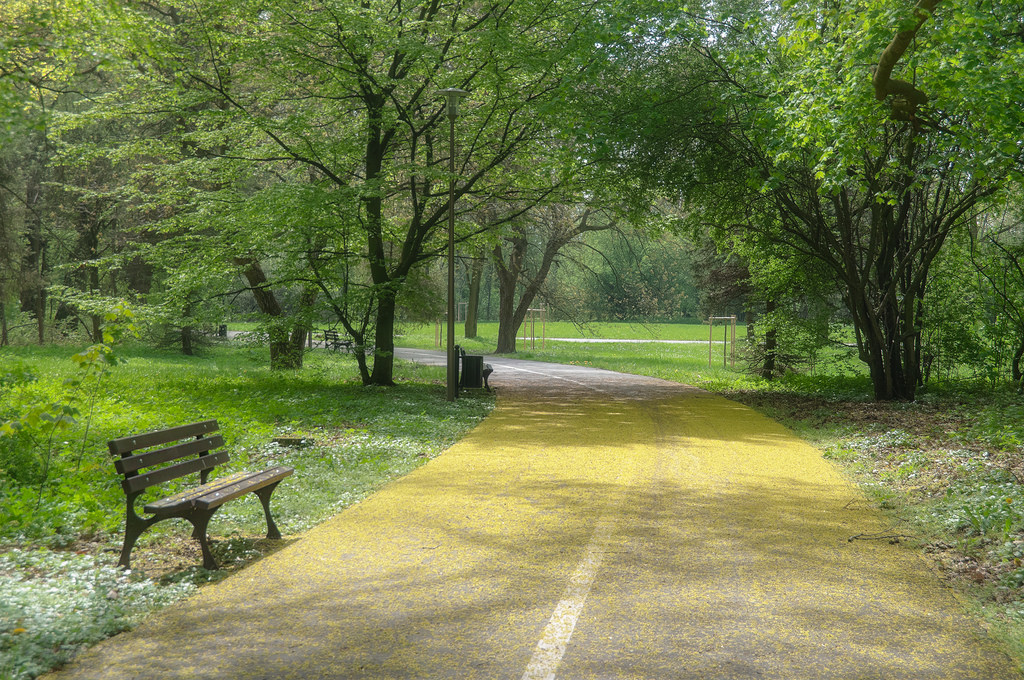 7 Upaya Pelestarian Lingkungan Hidup