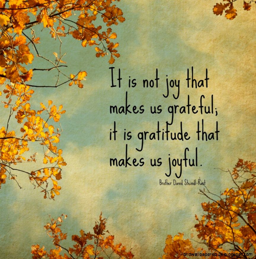 Gratitude Quotes We Need Fun Gratitude Quotes We Need Fun