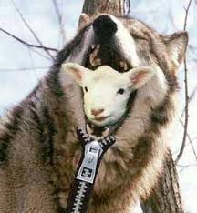 A+sheep+in+wolfs+clothing.jpeg
