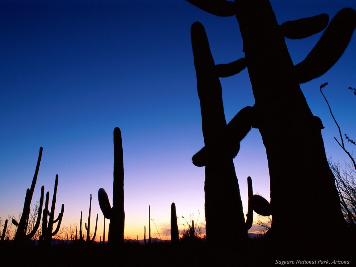 http://3.bp.blogspot.com/-C7eWHAjmDfw/TZR1wXH2e0I/AAAAAAAACiI/plT5OK4PstM/s1600/nature-wallpaper-117.jpg