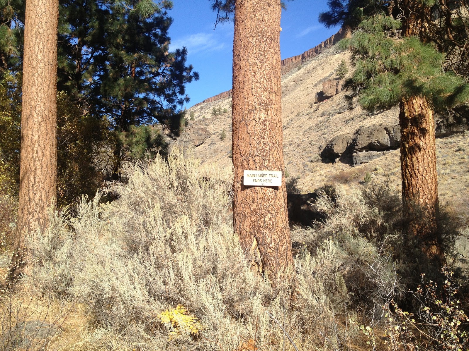 Alder Springs Trail High Desert Beauty Along Whychus Creek