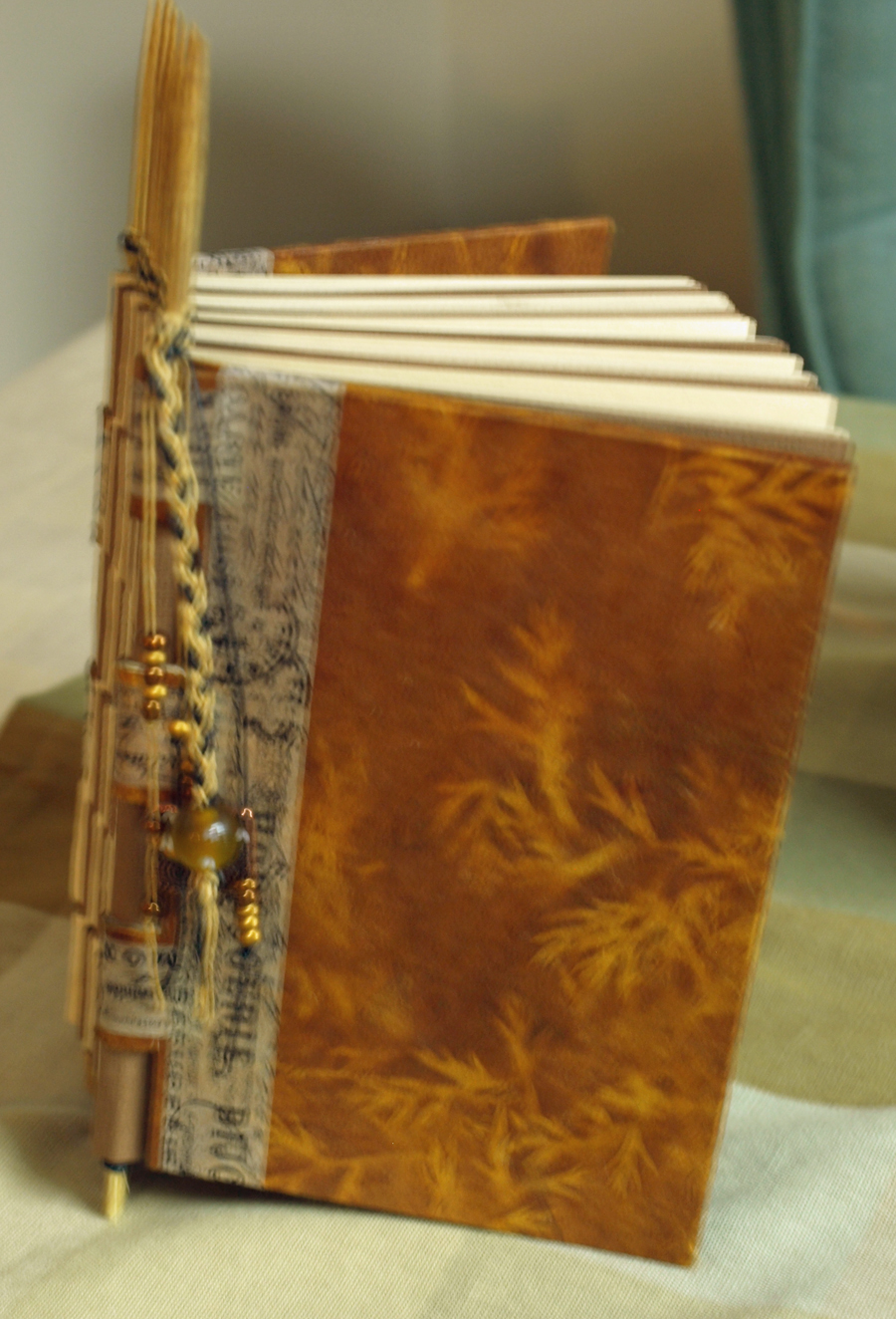 Dragonfly Dreamers Piano Hinge book