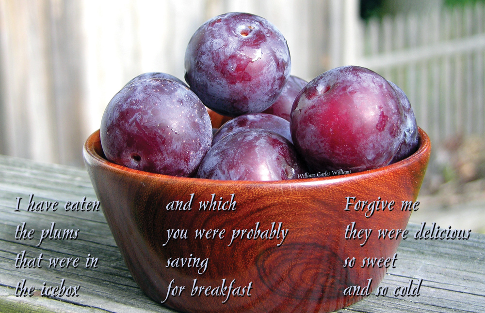 Sandi's Lament This is Just to Say...