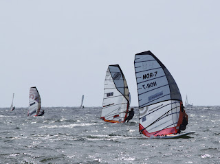 IMG_7561.jpg