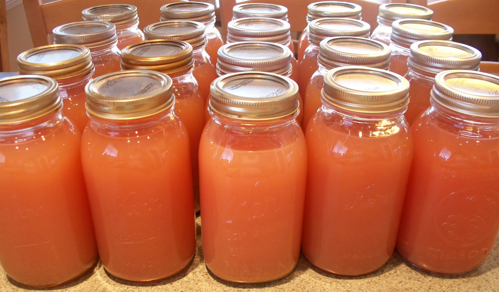 White Grape Juice and Jelly Adventures of a DIY Mom