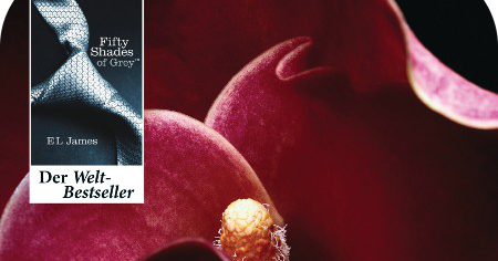 Nachtgezwitscher: [Rez] E.L. James - Shades of Grey - Geheimes Verlangen