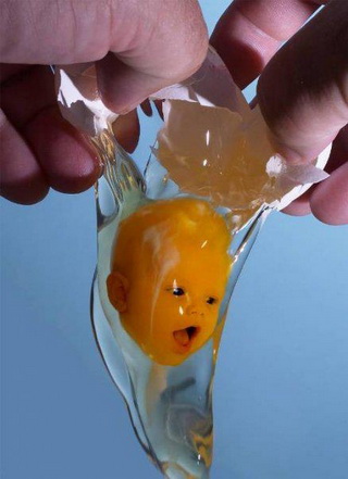 Žene se jebu žene se jebu