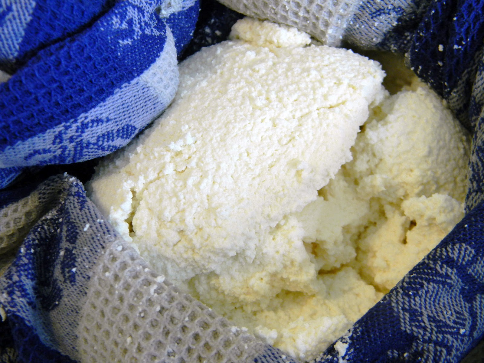 Richer Ricotta What Smells So Good?