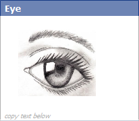 Big Beautiful Eye - New Facebook Emoticon