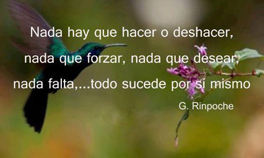 All Categories Citas Para Sexo En Santa Cruz De Tenerife