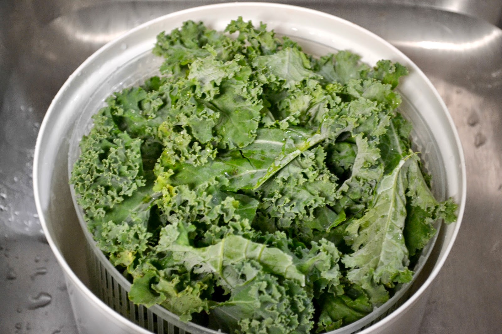 Salt and Vinegar Kale Chips Feed the Fashionista