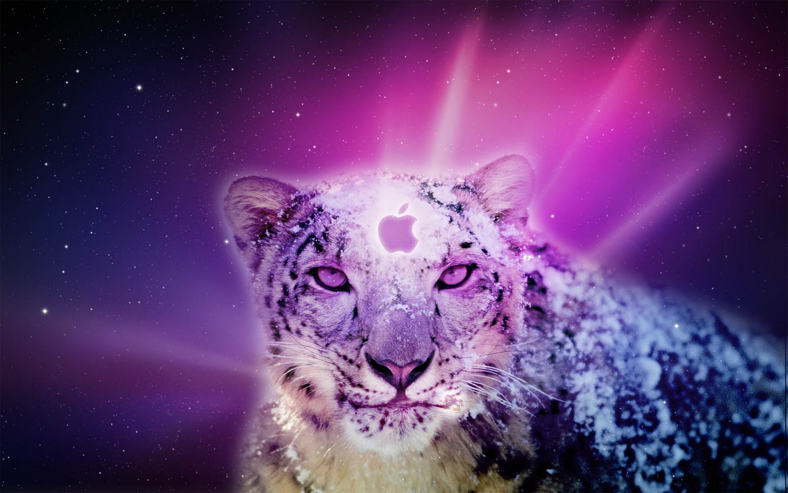 http://3.bp.blogspot.com/-CAgosF1N1H0/ThV7FKx7U-I/AAAAAAAAAGs/fKnXLGorT9s/s1600/mac_osx_snow_leopard_wallpaper_by_rl_mac-d39qvpo.jpg