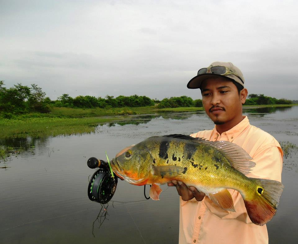 Fishing XPDC Peacock Bass Air Kuning, Perak