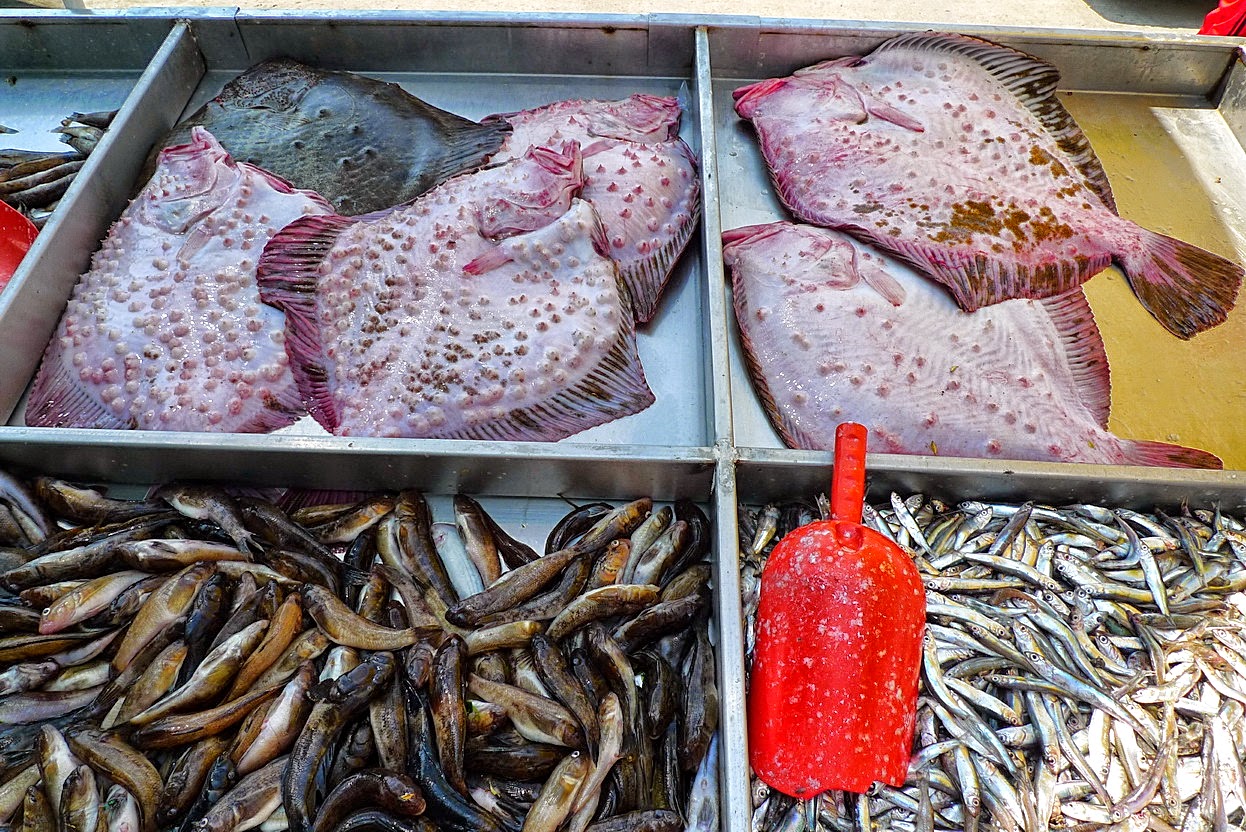 Kalkan Na Skara Recepta Ot Viktor Vlkov Nahrani Me Youtube