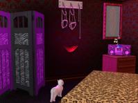 catstory2-7.jpg