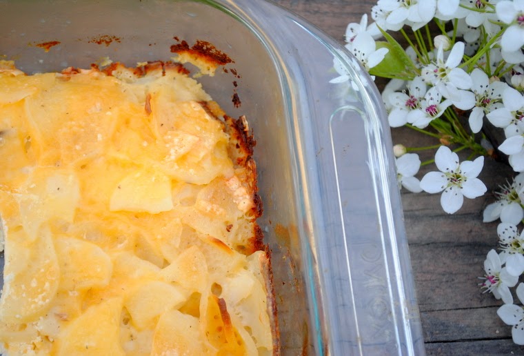 Cooke's Frontier Au Gratin Potatoes Made With Dehydrated Potato Slices