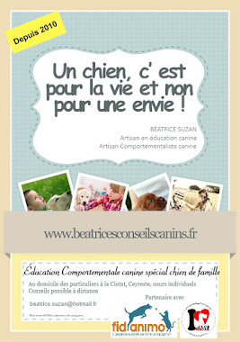 Education Comportementale canine spéciale "Chien de Famille"