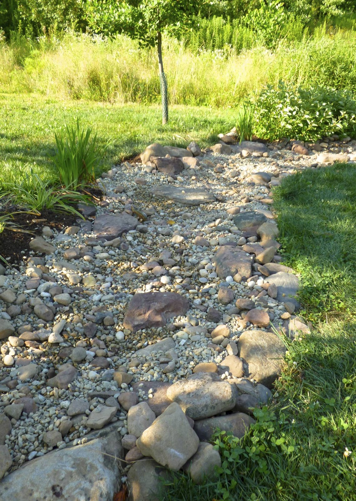 Plant Inventory Dry Creekbed Plant Inventory Dry Creekbed