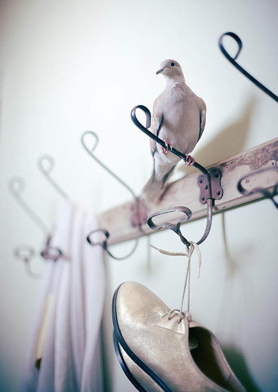 The Beautiful Artwork Of Photographer Oliver Fritze