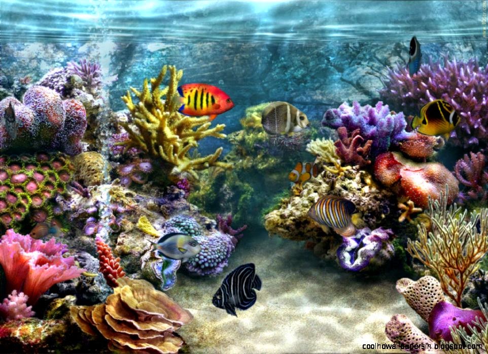 aquarium live wallpaper  apk files download aquarium live wallpaper  apk files download