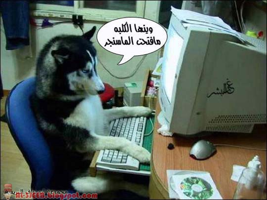 مجموعة من الصور المضحكة Al-3jeeb.blogspot+%25283%2529