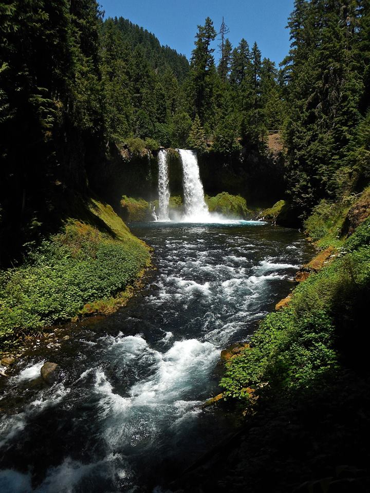 SAHALIE & KOOSAH FALLS