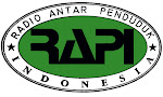 Logo RAPI
