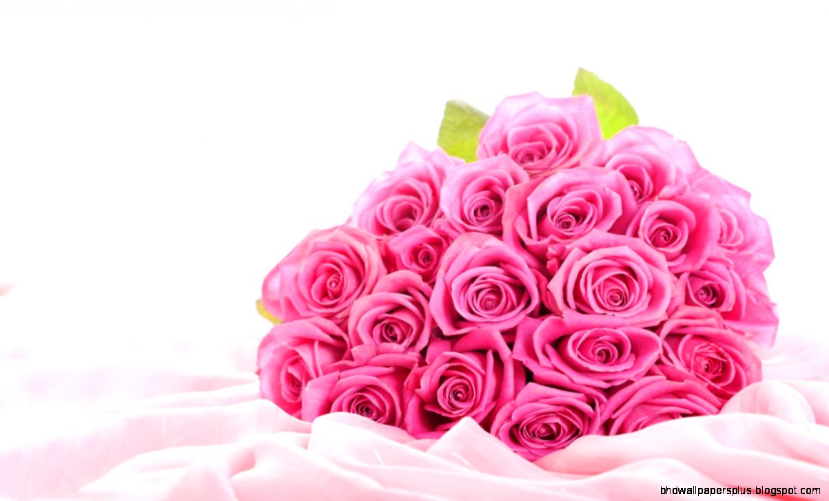 Awesome Variety Of Flowers And Bouquets Stylestodo Awesome Variety Of Flowers And Bouquets Stylestodo