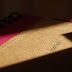 Luces e sombras no diario