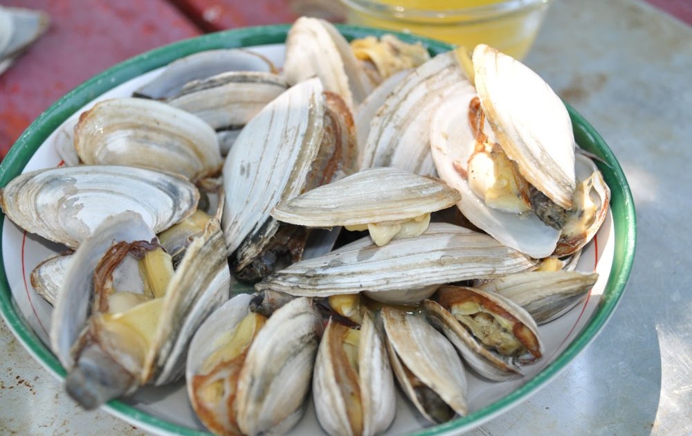 Calico Kitchen =^.^= Steamed Softshell Clams