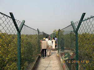 The "CANOPY WALKWAY" along Dobanki  Tiger reserve forest.