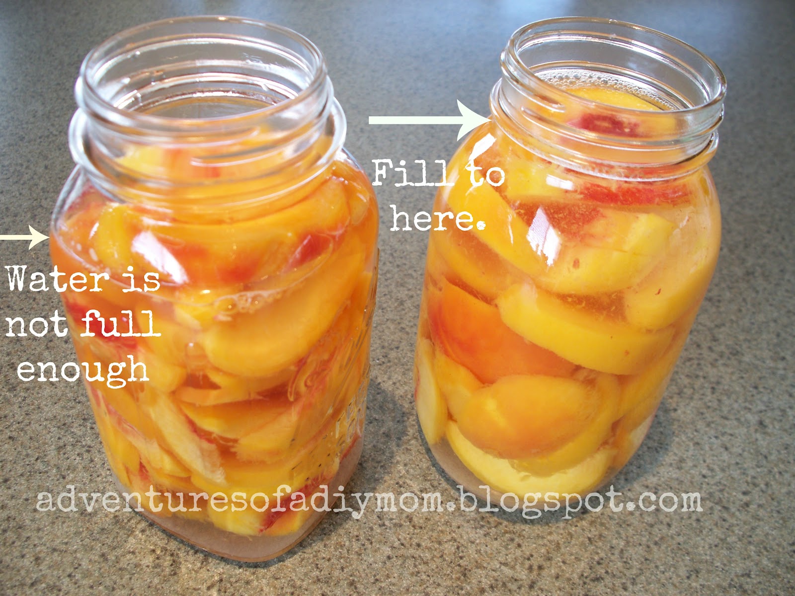 How to Can Peaches Everything you need to know Adventures of a DIY Mom