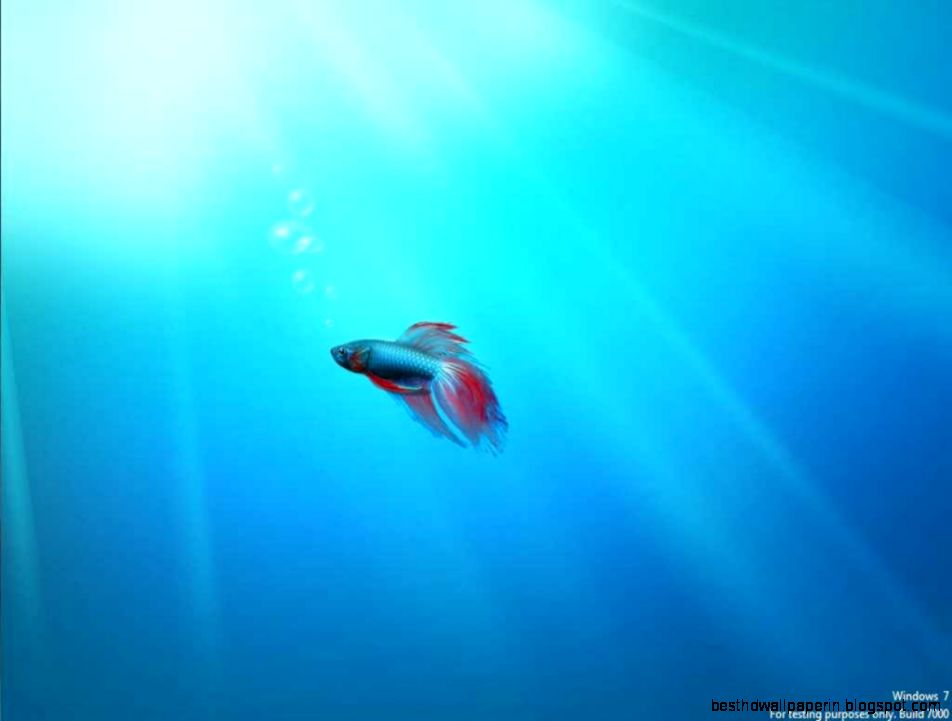 Microsoft Windows 7 Desktop Themes Microsoft Windows 7 Desktop Themes