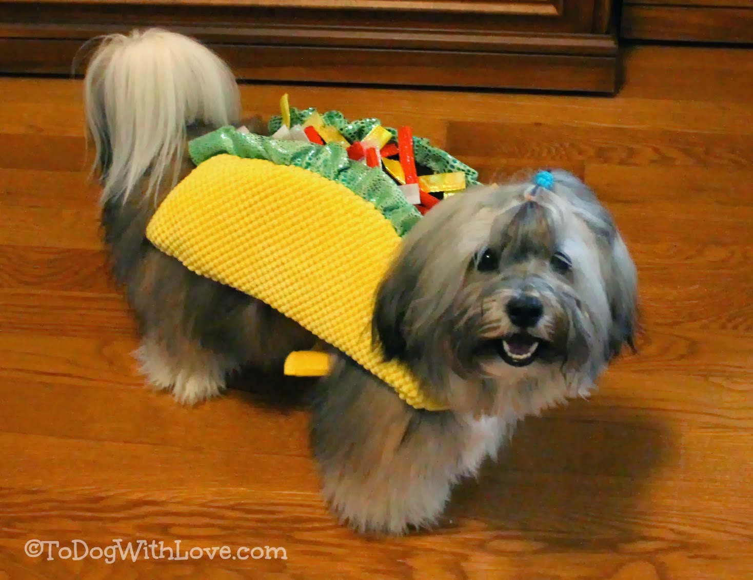 pug in taco costume petco taco costume animals breeds picture pug in taco costume petco taco costume animals breeds picture
