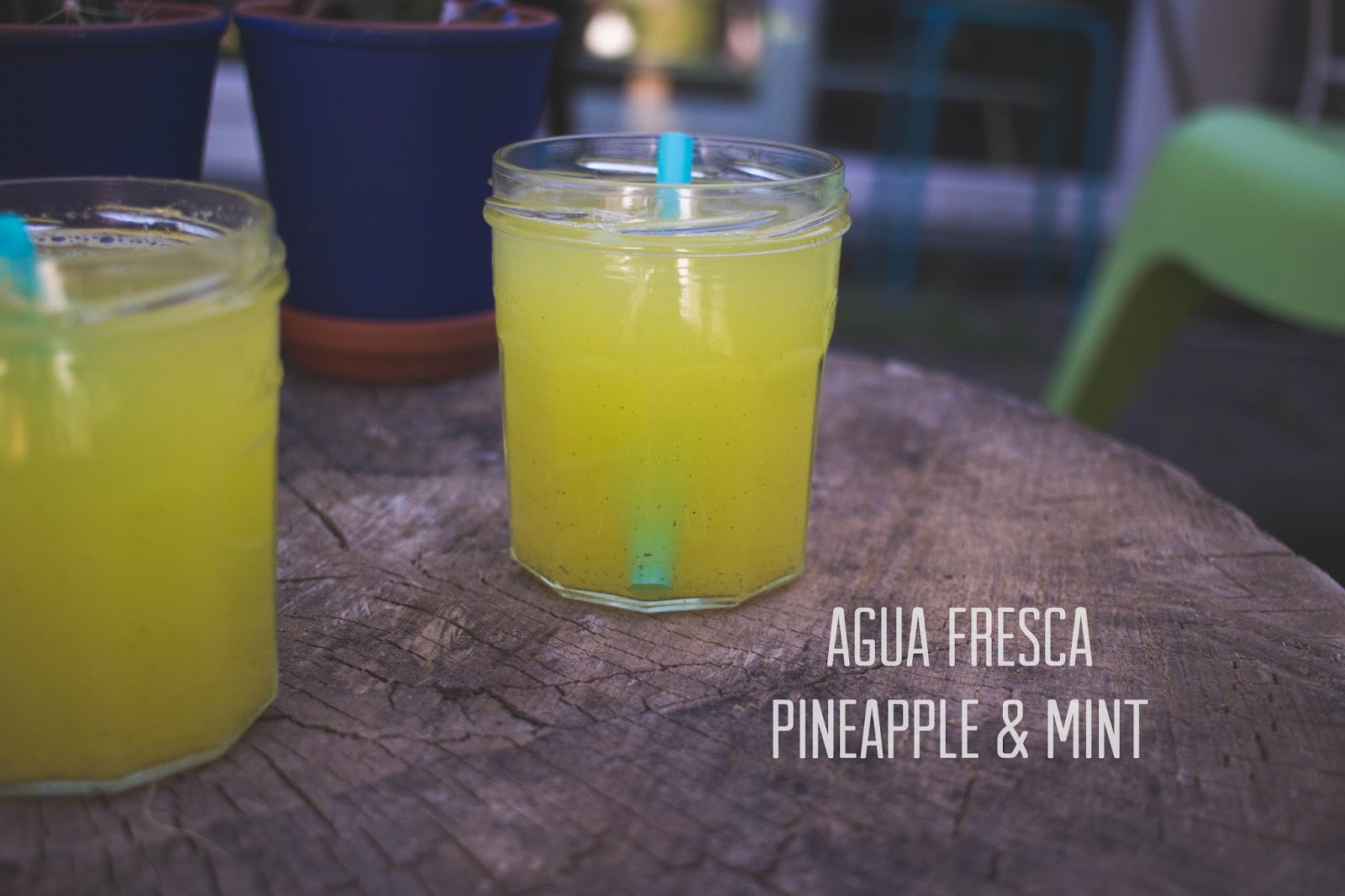 Sugar and Dinosaurs Agua Fresca Pineapple and Mint
