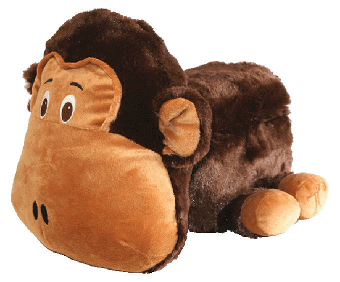 WOMAN OF HOPE AND PRAYER TREASURE CHEST PETS A FUN ALTERNATIVE TO