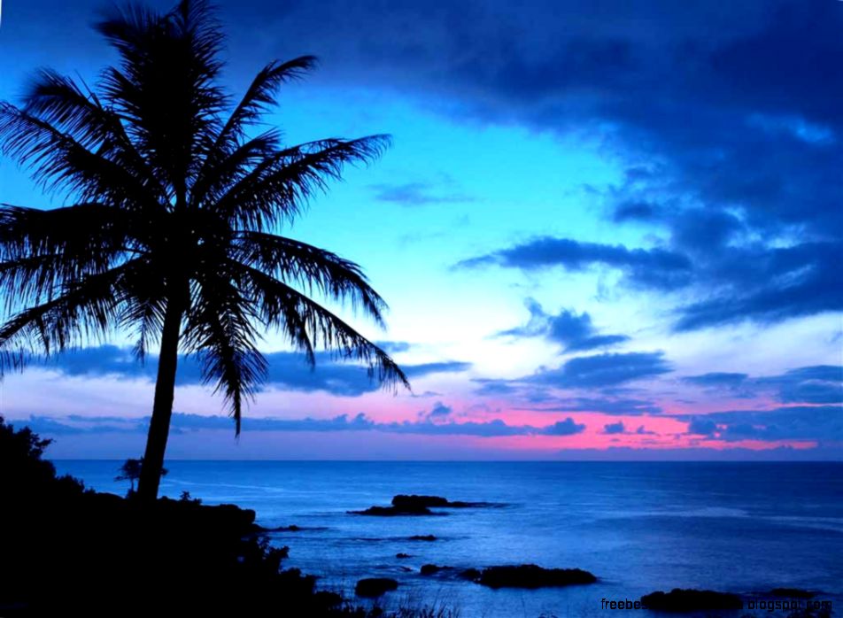 The gallery for Tropical Beaches Sunset The gallery for Tropical Beaches Sunset