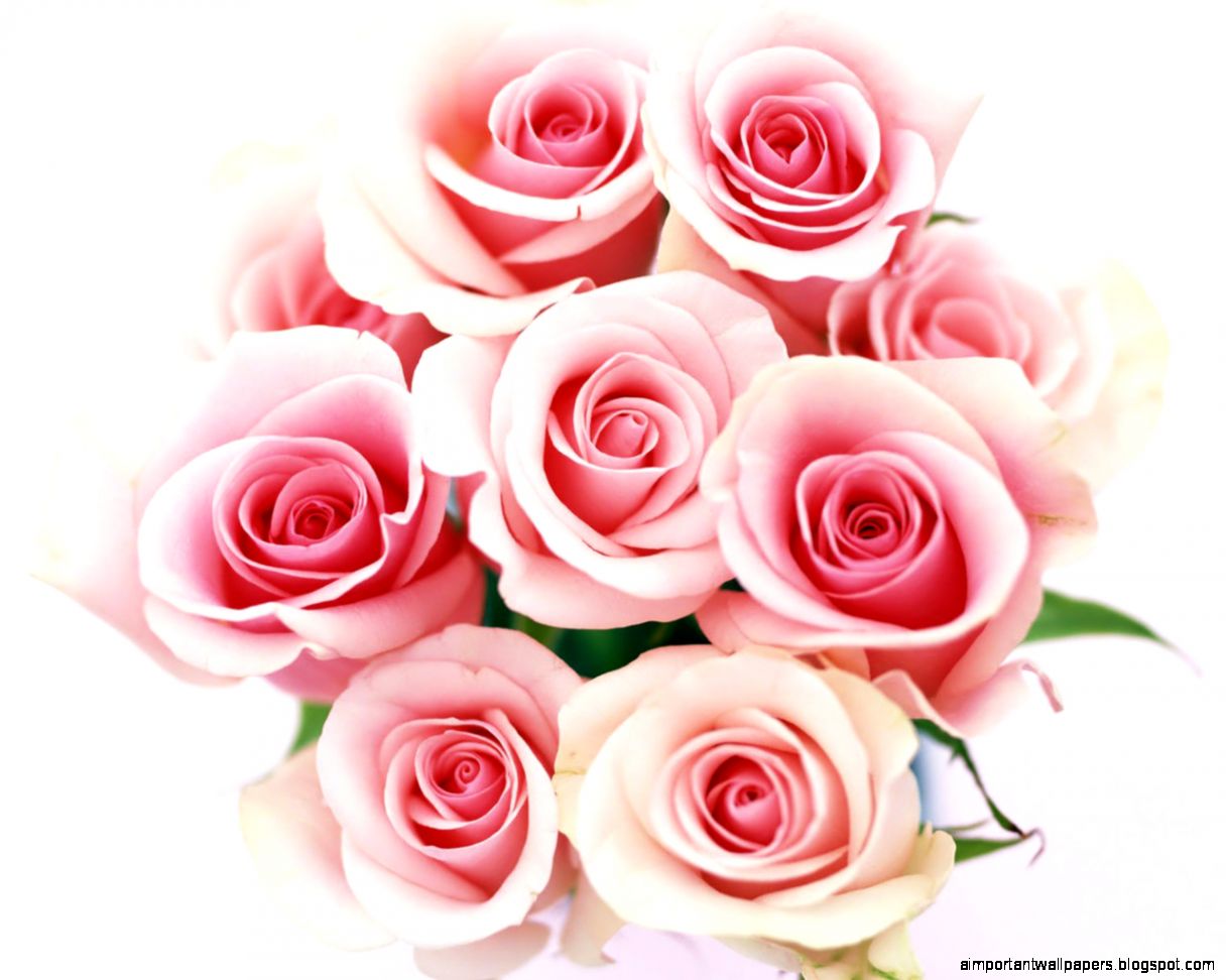 Bouquet of Roses Image   Flowers Desktop Wallpaper Bouquet of Roses Image   Flowers Desktop Wallpaper