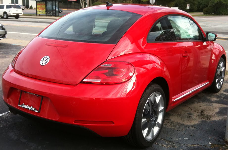 Beetle Eyelashes