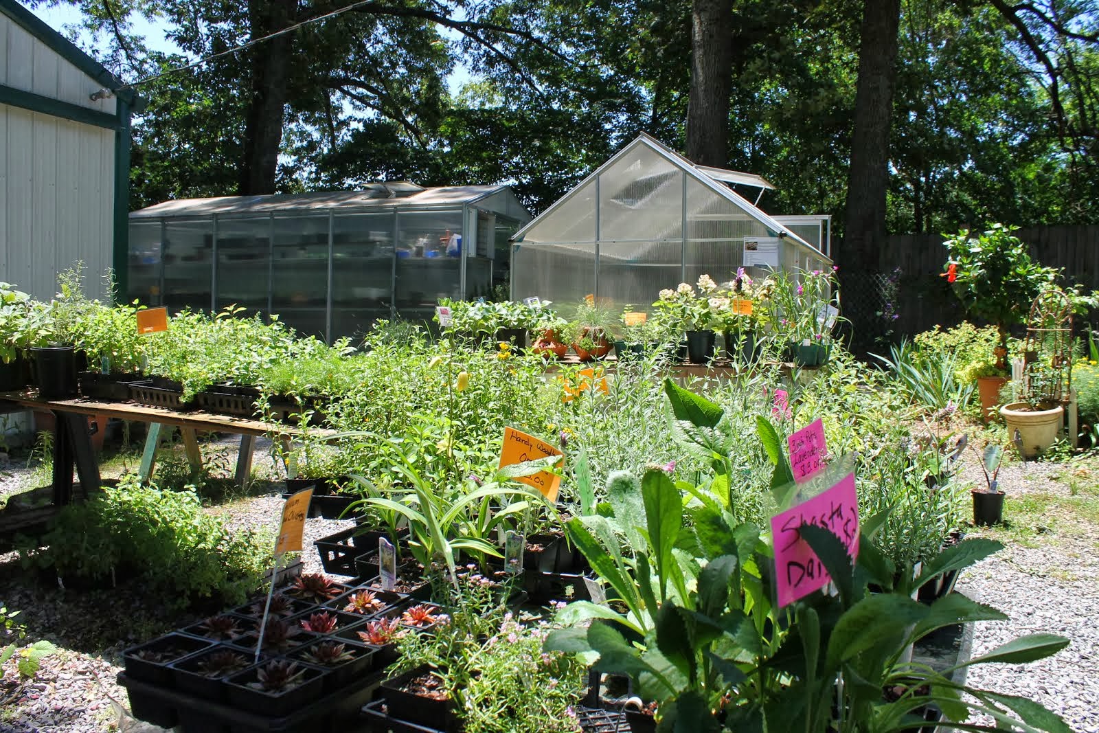 Gardening Tips for Small Spaces My Backyard Nursery