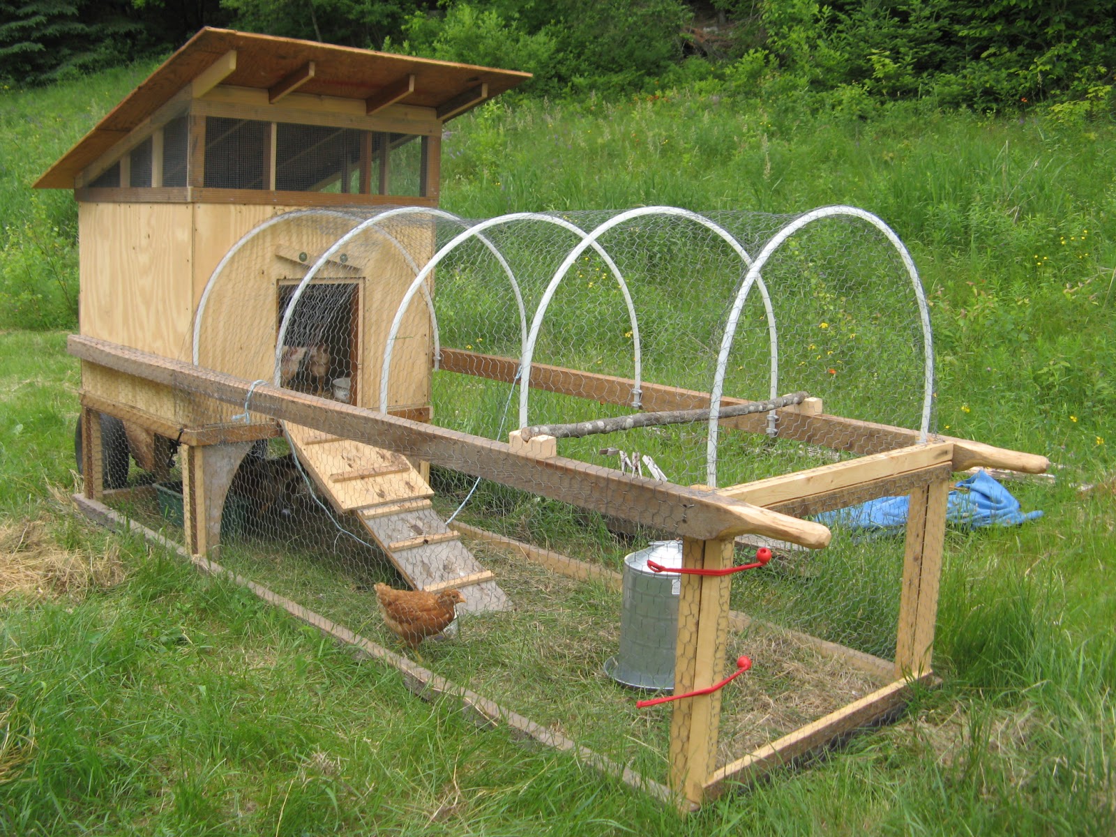 Animal Instinct Barn & Chicken Tractor Views