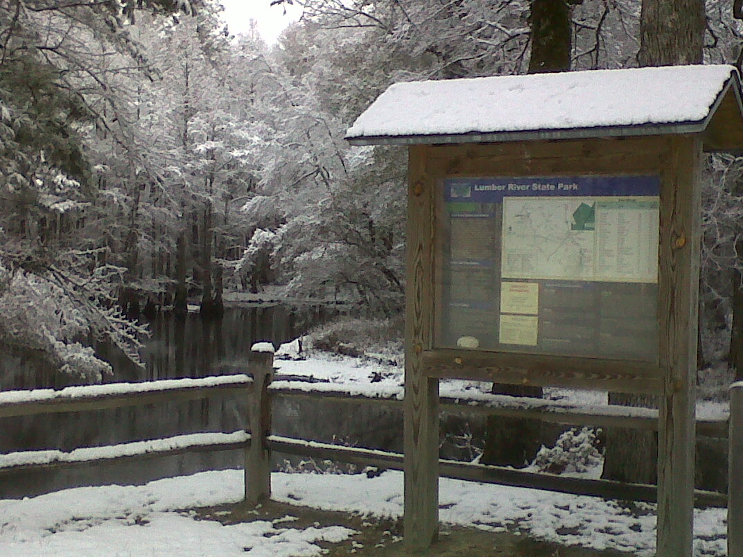 Lumber River State Park Chalk Banks New Fallen Snow