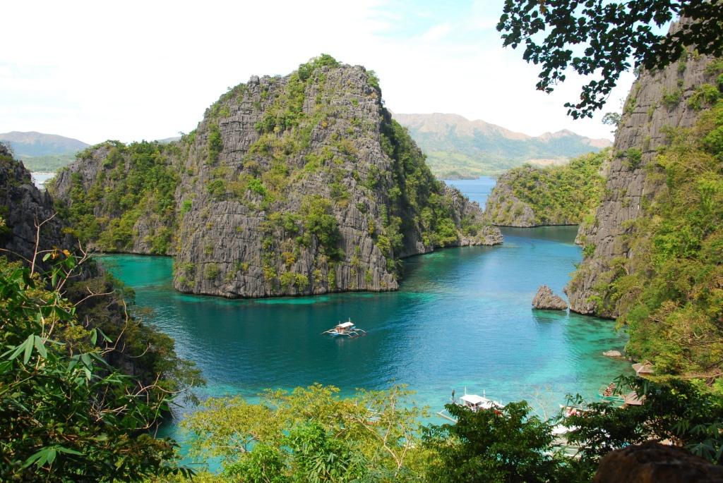 Recruitment Of Pre Existing Networks During The Evolution Of C4