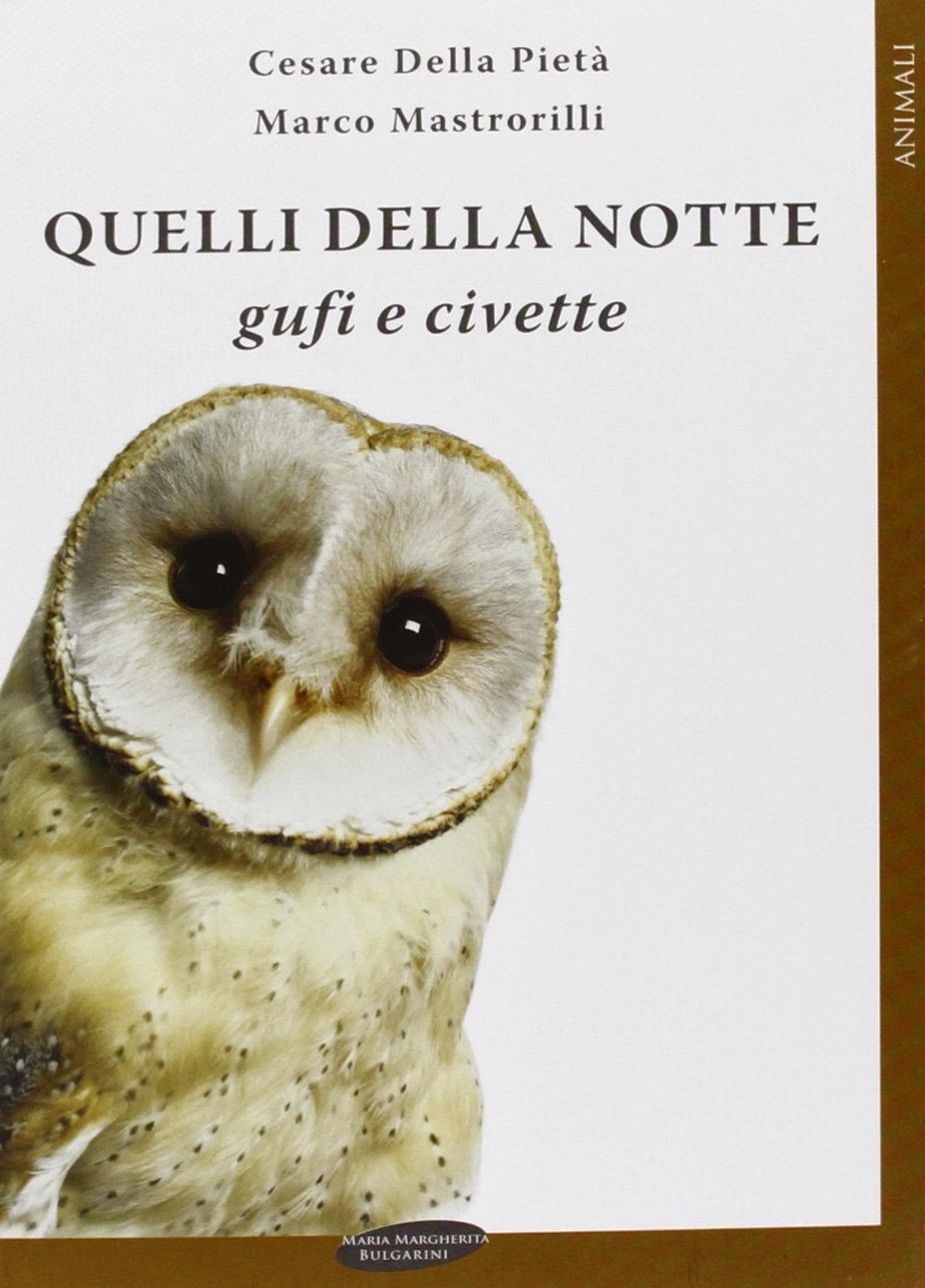 QUELLI DELLA NOTTE - Gufi e civette