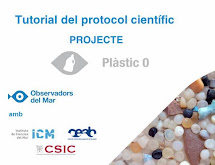 Tutorial protocol científic